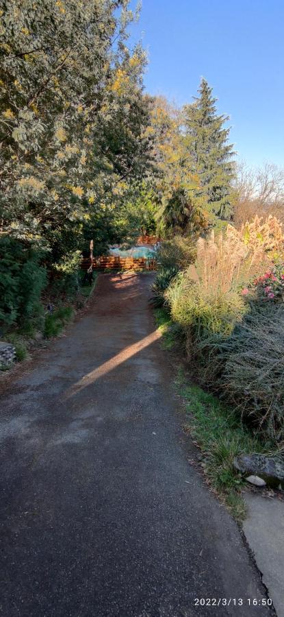 B&B En Plein Coeur De La Foret Artiguelouve Екстериор снимка